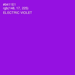 #9411E1 - Electric Violet Color Image