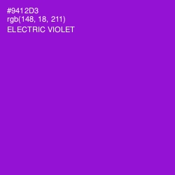 #9412D3 - Electric Violet Color Image