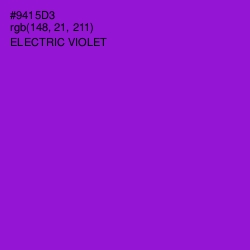 #9415D3 - Electric Violet Color Image