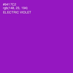 #9417C2 - Electric Violet Color Image