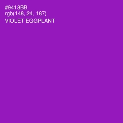 #9418BB - Violet Eggplant Color Image