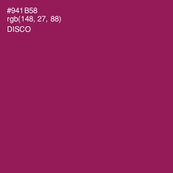 #941B58 - Disco Color Image