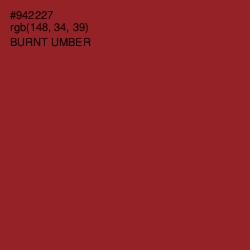 #942227 - Burnt Umber Color Image