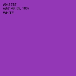 #9437B7 - Vivid Violet Color Image