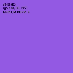 #9459E3 - Medium Purple Color Image