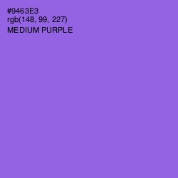 #9463E3 - Medium Purple Color Image