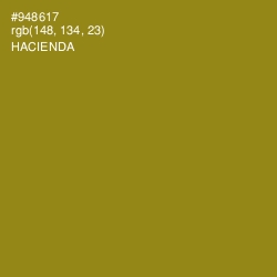 #948617 - Hacienda Color Image
