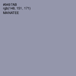 #9497AB - Manatee Color Image