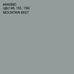 #949B9C - Mountain Mist Color Image