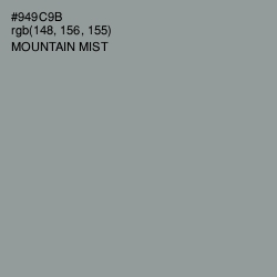 #949C9B - Mountain Mist Color Image