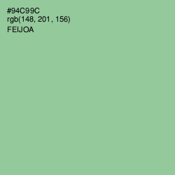#94C99C - Feijoa Color Image