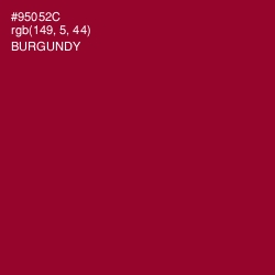 #95052C - Burgundy Color Image