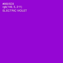#9505D3 - Electric Violet Color Image