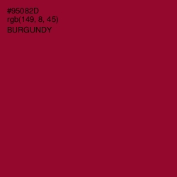 #95082D - Burgundy Color Image