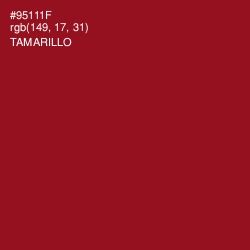 #95111F - Tamarillo Color Image