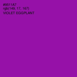 #9511A7 - Violet Eggplant Color Image