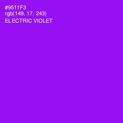 #9511F3 - Electric Violet Color Image