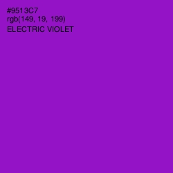 #9513C7 - Electric Violet Color Image