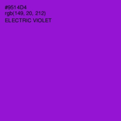 #9514D4 - Electric Violet Color Image