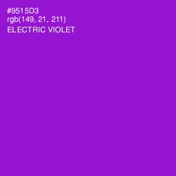 #9515D3 - Electric Violet Color Image