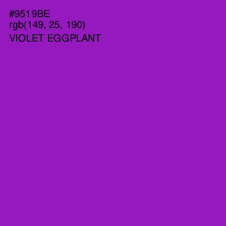 #9519BE - Violet Eggplant Color Image