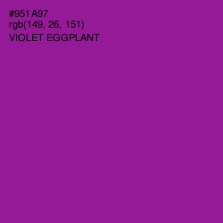 #951A97 - Violet Eggplant Color Image