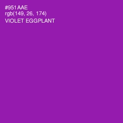 #951AAE - Violet Eggplant Color Image