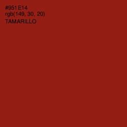 #951E14 - Tamarillo Color Image