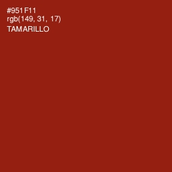 #951F11 - Tamarillo Color Image