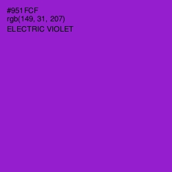 #951FCF - Electric Violet Color Image