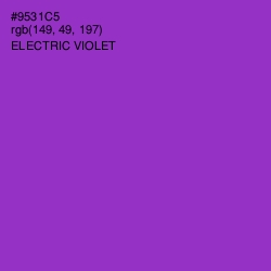 #9531C5 - Electric Violet Color Image