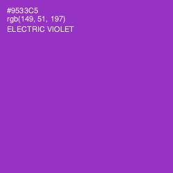 #9533C5 - Electric Violet Color Image