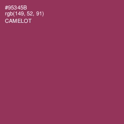 #95345B - Camelot Color Image