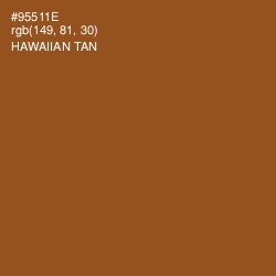 #95511E - Hawaiian Tan Color Image