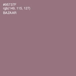 #95737F - Bazaar Color Image