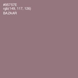 #95757E - Bazaar Color Image