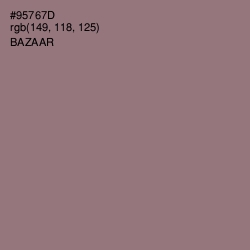 #95767D - Bazaar Color Image