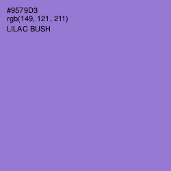 #9579D3 - Lilac Bush Color Image