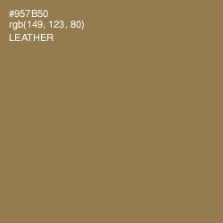 #957B50 - Leather Color Image