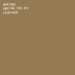 #957B51 - Leather Color Image