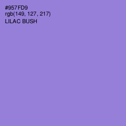 #957FD9 - Lilac Bush Color Image