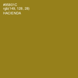 #95801C - Hacienda Color Image