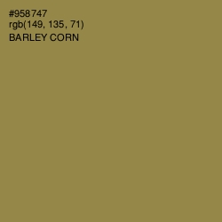 #958747 - Barley Corn Color Image