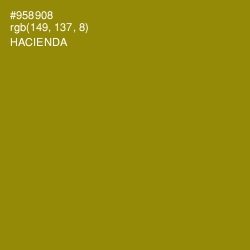 #958908 - Hacienda Color Image