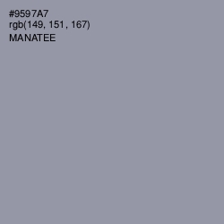 #9597A7 - Manatee Color Image