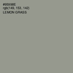 #95998E - Lemon Grass Color Image