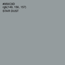 #959C9D - Star Dust Color Image