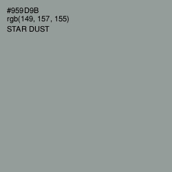 #959D9B - Star Dust Color Image