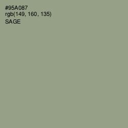 #95A087 - Sage Color Image