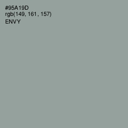 #95A19D - Envy Color Image